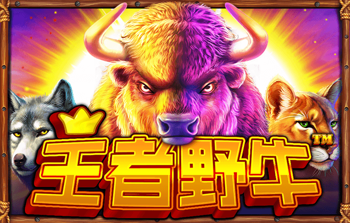 大发彩票9123登录入口